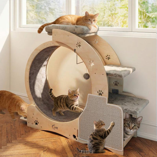 NAVINE 40" Cat Exercise Wheel for Indoor Cats, Cat Treadmill with Cat Nest, Cat Wheel with Safety Locker, Cat Scratching Post, Cat House, Cat Ladder and Cat Bowl