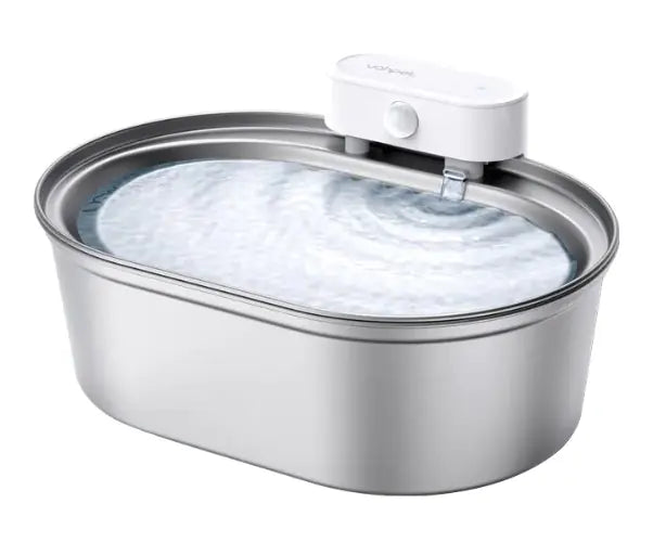 Pet Hydration Station