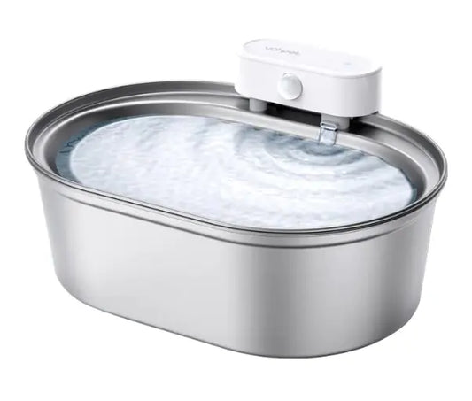 Pet Hydration Station