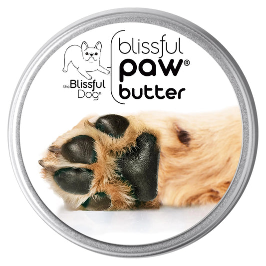 Paw Paradise Butter Balm 8 oz - Winter-Proof Dog Pad Moisturizer